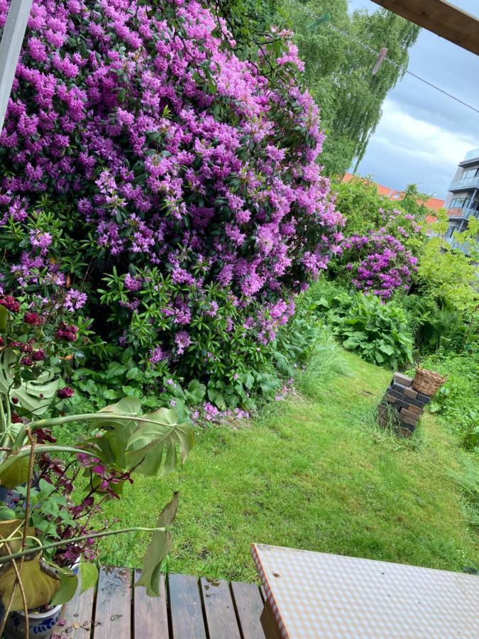 Sølyst Leilighet Silkeborg Eksteriør bilde